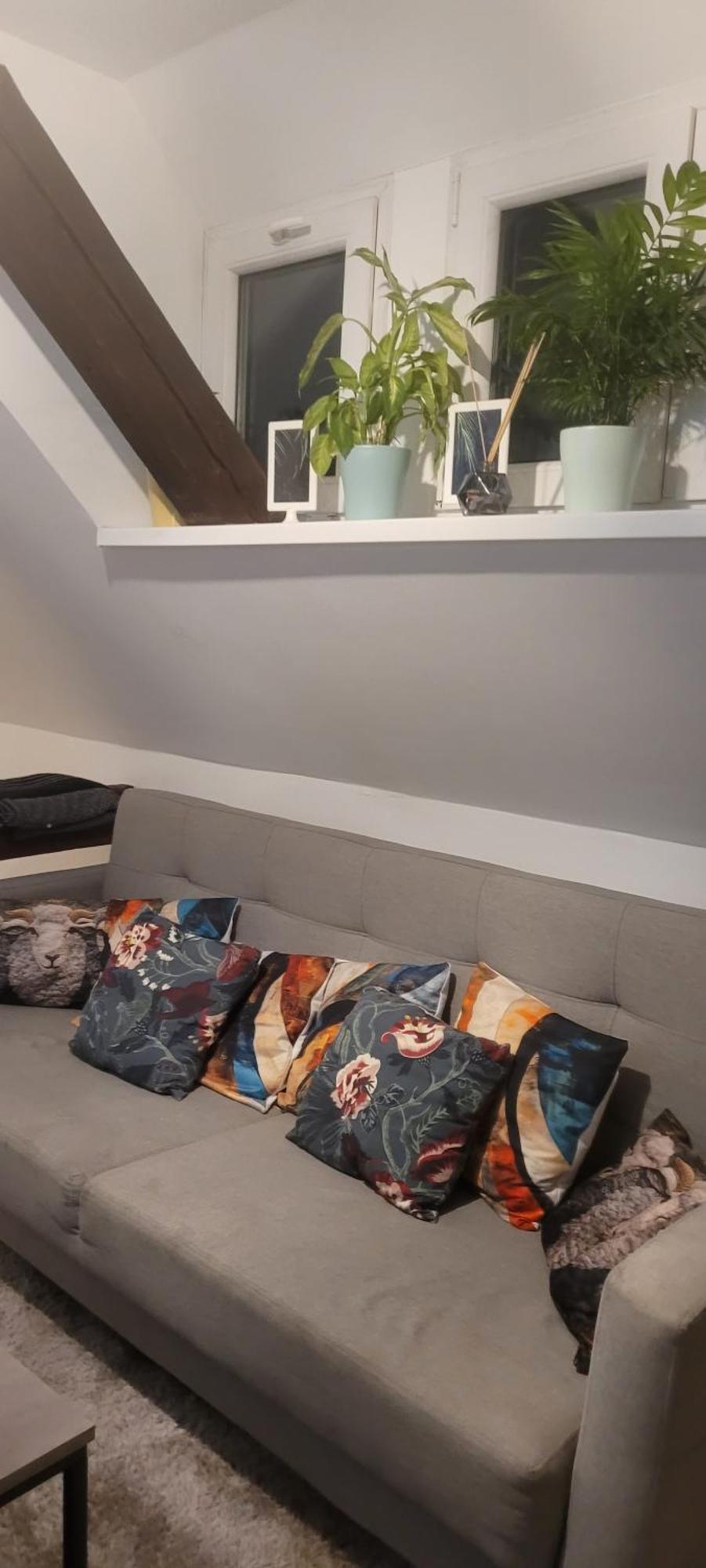Serce Bytomia Zameldowanie 24 H
